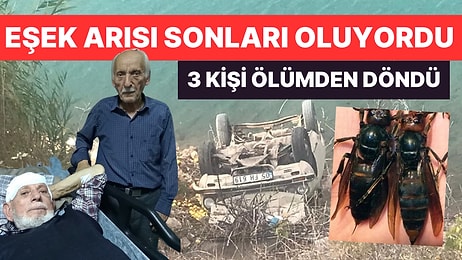 Eşek Arısı Seyir Halindeki Arabaya Girdi, 3 Kişi Ölümden Döndü