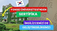 Korece Öğrenmek İçin Birbirinden Etkili, Kariyeriniz İçin Altın Değerinde Olan 10 Muhteşem Kaynak