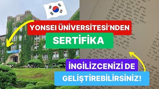 Korece Öğrenmek İçin Birbirinden Etkili, Kariyeriniz İçin Altın Değerinde Olan 10 Muhteşem Kaynak