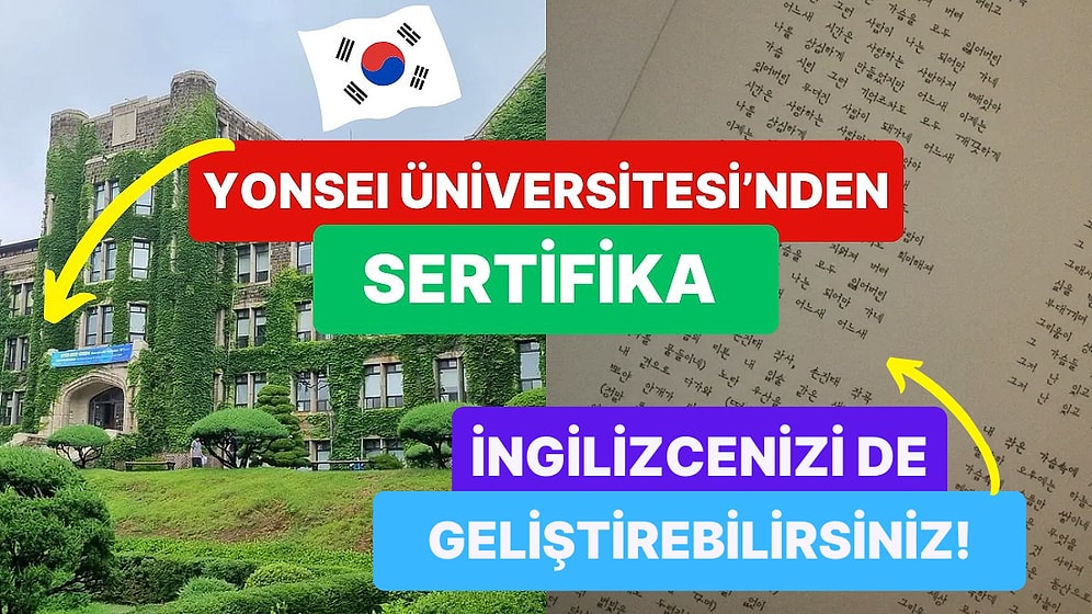 Korece Öğrenmek İçin Birbirinden Etkili, Kariyeriniz İçin Altın Değerinde Olan 10 Muhteşem Kaynak