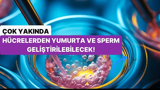 Teknolojide Yeni Bir Çığır Açılıyor: Yakın Bir Zamanda Herhangi Bir Hücreden Yumurta ve Sperm Üretilebilecek!