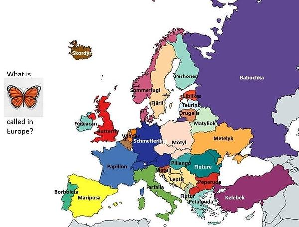 3. "Kelebek" kelimesi Avrupa ülkelerinde nasıl söyleniyor?