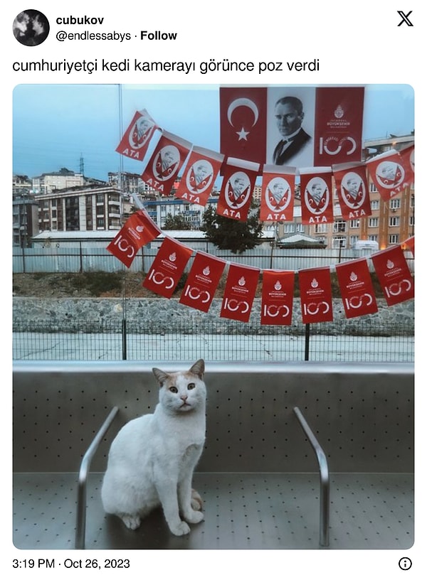 Çoğundan duyarlı.