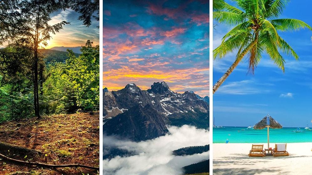 Beach, Mountains, or Forests: Where Do You Find Peace?