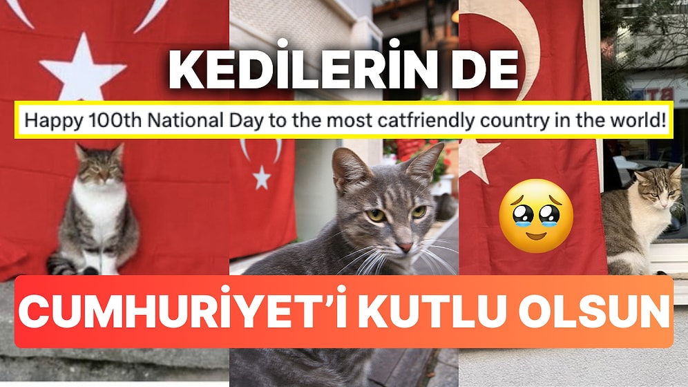 Cumhuriyet'in 100. Yılını Kutlayan Global Hesabın Altına Gelen Cumhuriyet Kedileri Sizi Yumuş Yumuş Yapacak