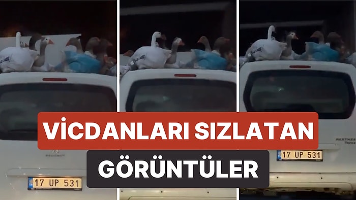 Aracının Üzerine Bağladığı Yaklaşık 15 Kazı Taşıyan Şahsın Görüntüleri Vicdanları Sızlattı