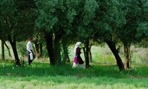 7. Through the Olive Trees, 1994