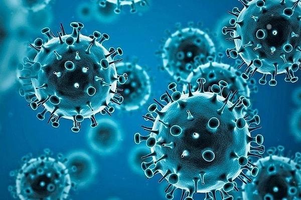 Paramiksovirüs ailesinde kabakulak, kızamık ve solunum yolu enfeksiyonları dahil 75'ten fazla virüs bulunuyor.