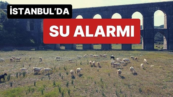 DSİ Genel Müdür Yardımcısı Bülent Selek: "İstanbul'a 2 Ay Yetecek Kadar Su Var"