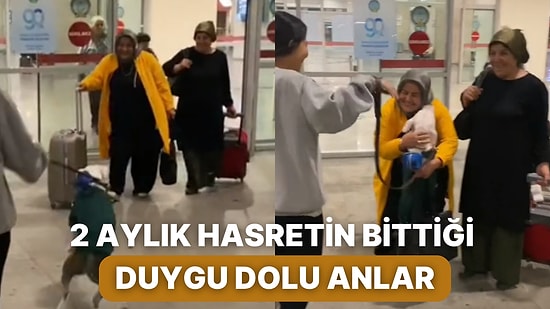 İki Aydır Görmediği Anneannesini Görünce Ona Dakikalarca Sarılan Köpek İçinizi Isıtacak