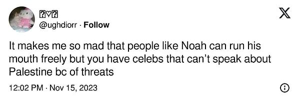 "Noah gibi insanların rahatça konuşabilmesi ama ünlülerin Filistin'i tehditler yüzünden destekleyememesi beni çok sinirlendiriyor"