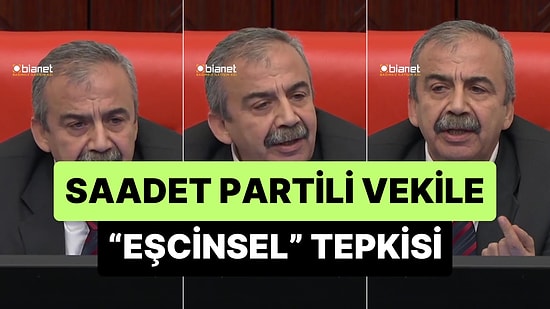Sırrı Süreyya Önder, SP'li Vekilin Eşcinsel Kelimesini Küçültücü Bir Sıfat Olarak Kullanmasına İzin Vermedi