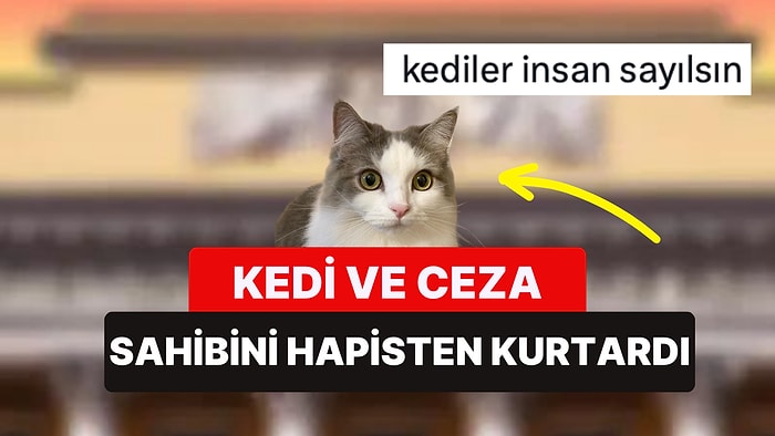 Kedi ve Ceza: Mahkeme Suçlu Bir Adamın Hapis Cezasını Kedisi Var Diye Erteledi