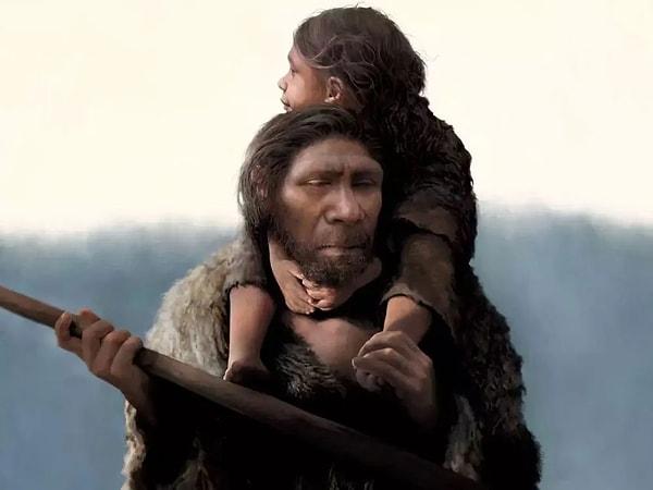İnsan ve Neandertaller arasındaki en belirgin farklılıklar, kafatasının boyutu ve şekli üzerinden görülebilir.