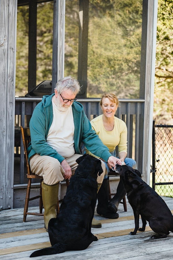 12. "Köpeklerim ve diğer birkaç hayvanımla birlikte geniş bir arazide emekliliğimin tadını çıkarmak isterdim."