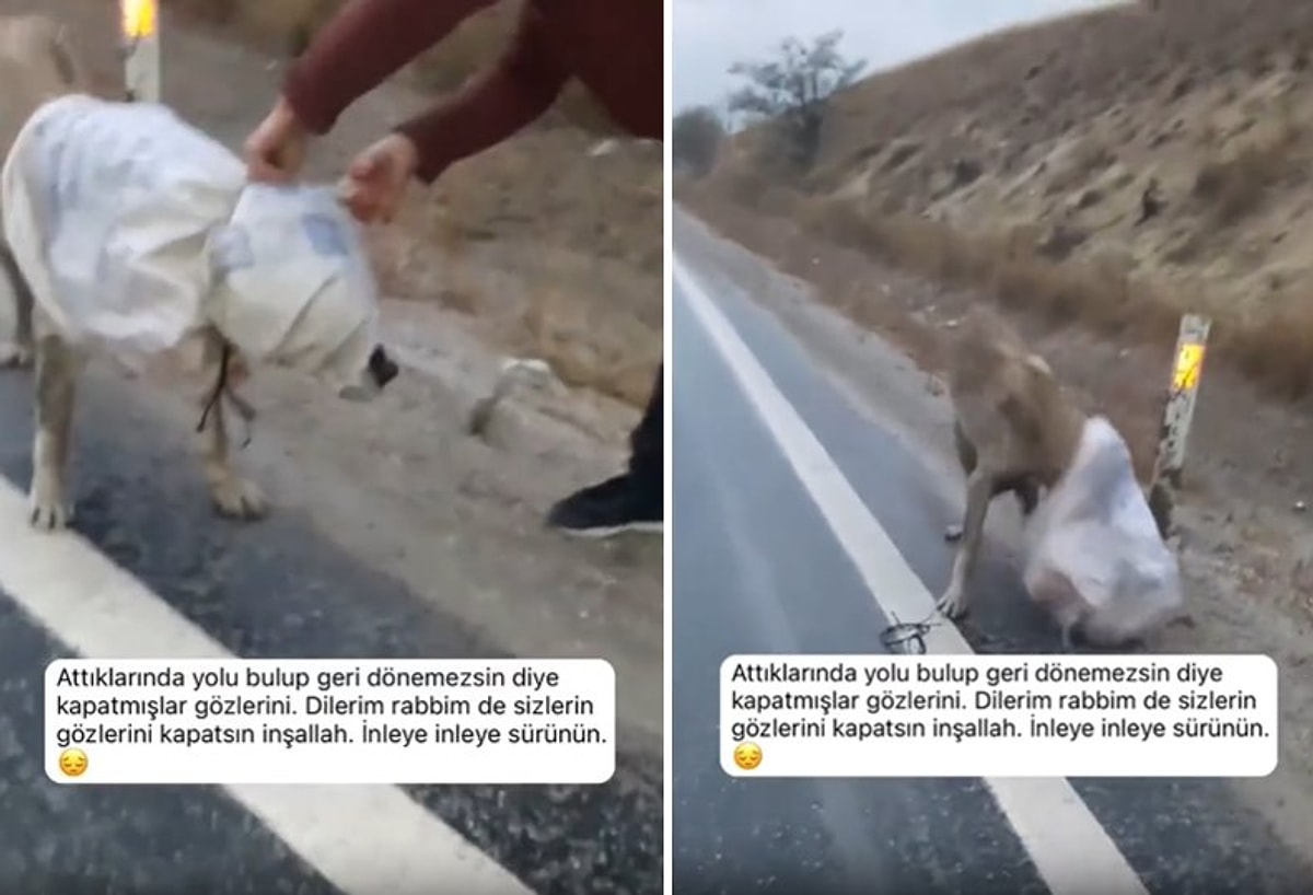Otobana Girerken Neye Dikkat Etmelisiniz onedio.com