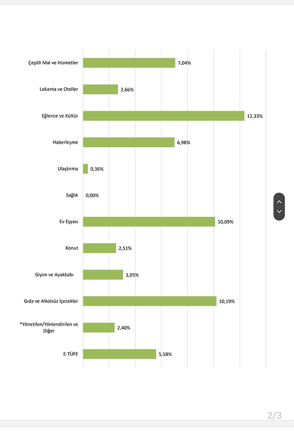 TÜİK alt grupları gösterge olarak alındığında en fazla aylık azalış %0 ile sağlık, en fazla yükseliş ise %12,33 ile Eğlence ve Kültür kaleminde gerçekleşti.