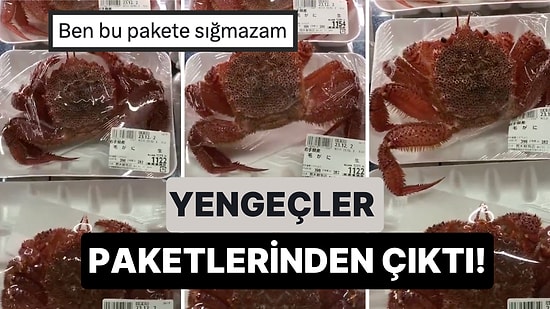 Bir Markette Reyonda Duran Paketlenmiş Yengeçlerin Paketlerinden Çıktığı Anlar Gündem Oldu