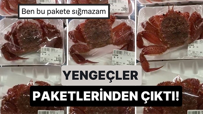 Bir Markette Reyonda Duran Paketlenmiş Yengeçlerin Paketlerinden Çıktığı Anlar Gündem Oldu