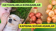 Dünyanın Dört Bir Yanından Ülkelerin Farklı Yılbaşı Gelenekleri ve Uygulamaları