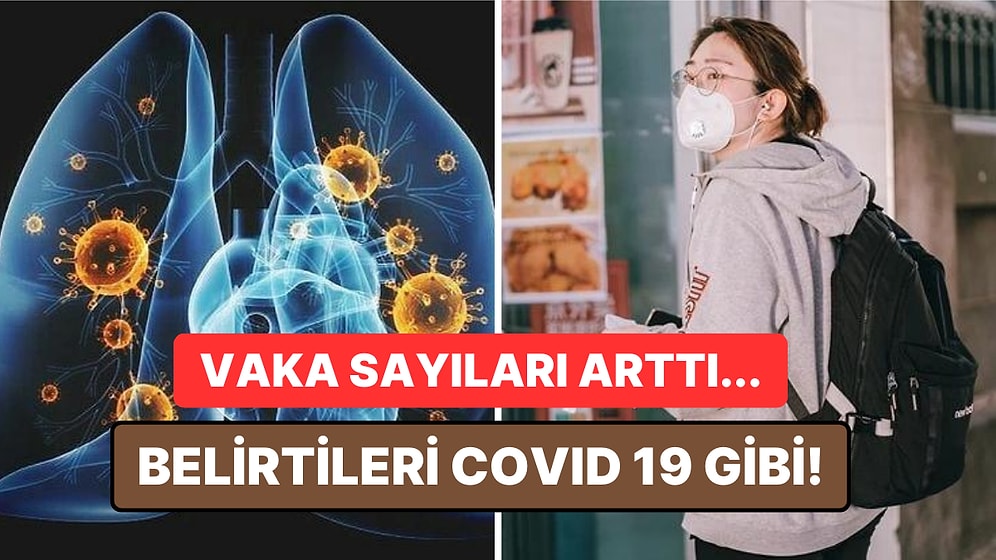 Danimarka ve Çin'i Alarma Geçiren Yeni Pnömoni Virüsü Yetkilileri Panikletti