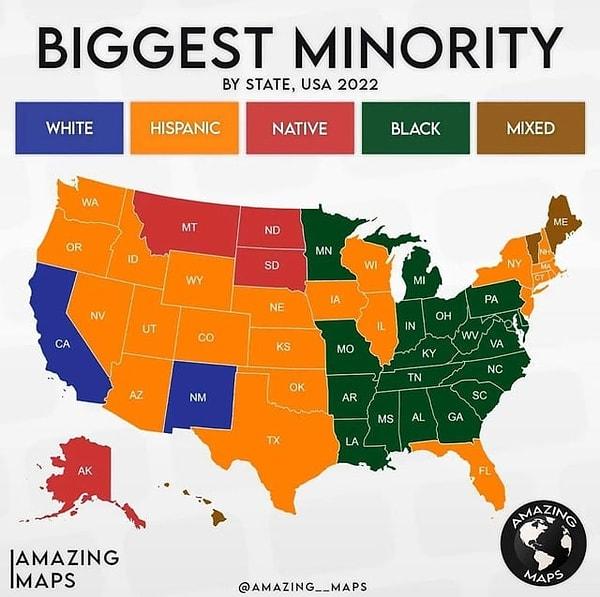 1. Amerikan eyaletlerindeki en büyük azınlıklar.