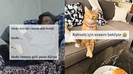 Dede Evindeki Sessizlik Anlarından Kedilerin Tuhaf Oturuşlarına Son 24 Saatin Viral Tweetleri