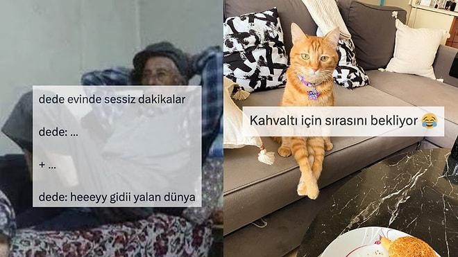 Dede Evindeki Sessizlik Anlarından Kedilerin Tuhaf Oturuşlarına Son 24 Saatin Viral Tweetleri