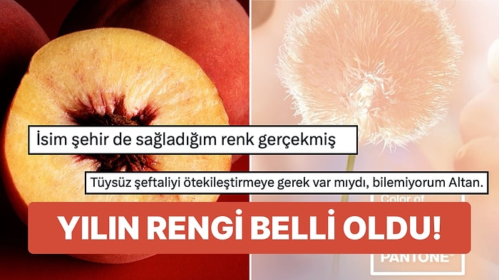 2024 Yılının Rengi Belli Oldu: Pantone 'Şeftali Tüyü'nü Seçti!