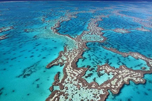 ,Where is the world's largest coral reef known as the ''Great Barrier Reef'' located?