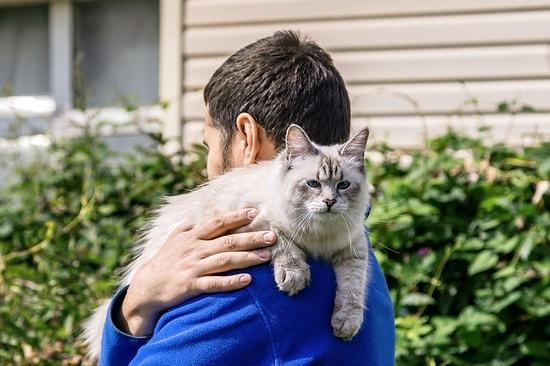 Is There A Link Between Cat Ownership and Schizophrenia?