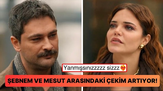 Senaryosuyla İlgili İddialarla Gündeme Gelen Şahane Hayatım'ın Son Bölümüne Sosyal Medyadan Gelen Tepkiler