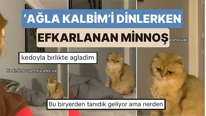 Bengü'nün 'Ağla Kalbim' Şarksını Dinlerken Aşırı Dertlenen Kedinin O Anları Sizi de Hüzünlendirecek