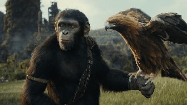 19. Kingdom of the Planet of the Apes