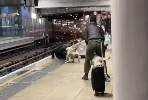 O sırada istasyonda olan bir adam, köpeğin tasmasını düzgün bağlayabilmesi için köpeklerden birini tutmayı teklif etti.