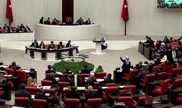 Saadet Partisi Kocaeli Milletvekili Hasan Bitmez'in kürsüde konuşmasını yaptığı sırada AKP Grup Başkanvekili Özlem Zengin ayaktayken ellerini havaya kaldırıp tepki göstermişti. Zengin'in bu el hareketlerini gösteren fotoğraf mecliste çok konuşulmuştu.