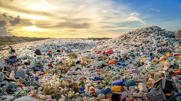 How Can We Protect Our World from Plastics?