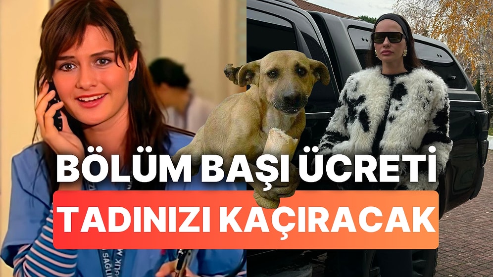 12 Yıl Sonra Ekranlara Dönme Kararı Alan Yasemin Özilhan'ın Bölüm Başı Alacağı Ücret Tadınızı Kaçıracak