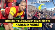 Köpekle Tezahürat Yapan Fenerbahçeli Taraftarlara Melo'dan Cevap: "Sahasında Kupa Kaldırdığımın Çocukları"