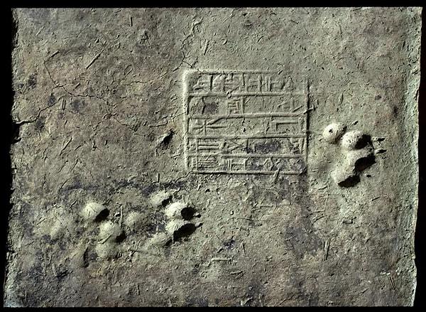 11. Irak'ın Ešnunna kentinde bulunan bir tuğla üzerindeki yazıtlar ve pati izleri. (M.Ö 2000-1900)