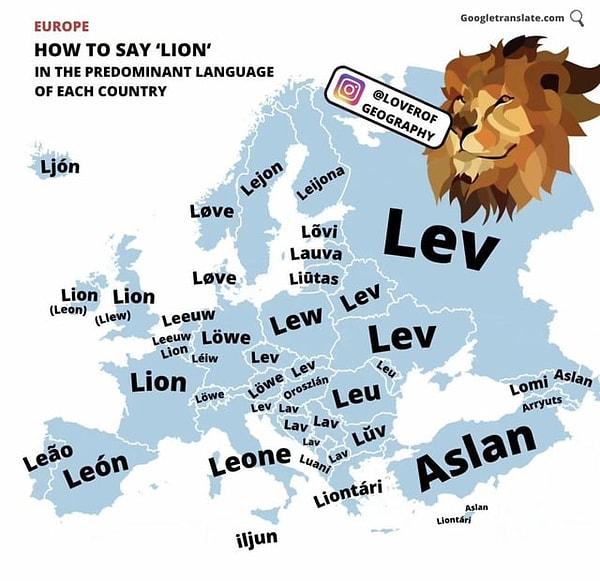 6. Avrupa'da "Aslan" nasıl söylenir.