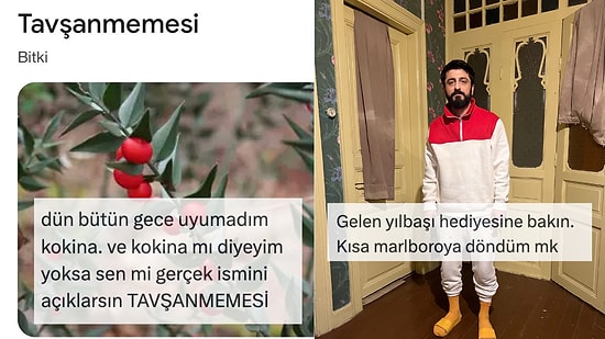 Her Ne Yapıyorsanız Bırakıp Okumanız Gereken Haftanın En Komik Tweetleri