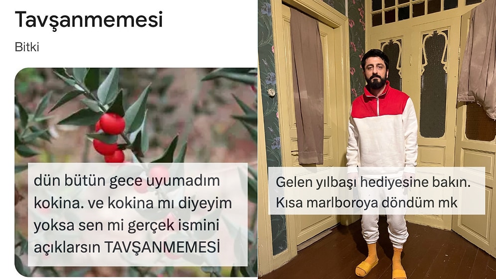 Her Ne Yapıyorsanız Bırakıp Okumanız Gereken Haftanın En Komik Tweetleri