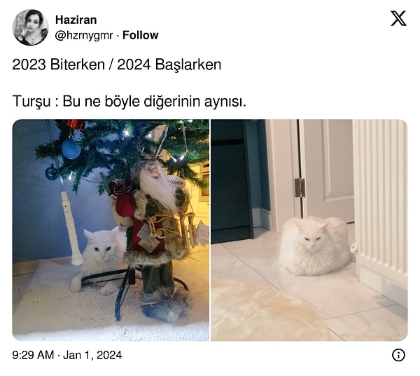 Yine de her yeni yılın daha güzel günler getirmesi umudunun,