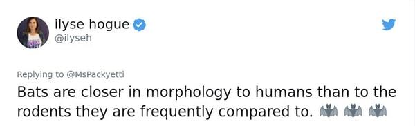 12. "Yarasalar, morfolojik olarak diğer kemirgenlere oranla insanlara daha yakındır."