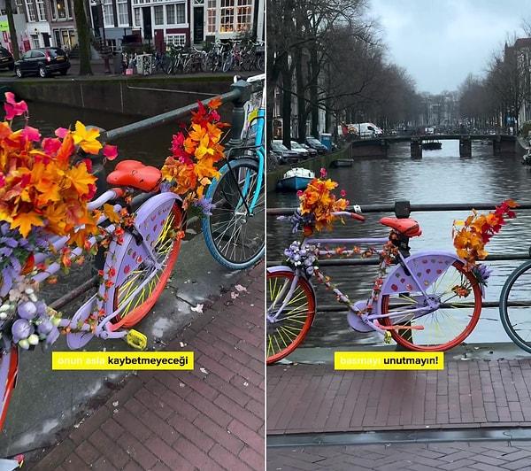 Bir gün epilepsi hastası eşinin bisikletini bulamaması ile eşine yardımcı olmak için bisikleti çiçeklerle süsleyen Warren Gregory, eşinin hastalığının zamanla ilerlemesi ile yolunu da kaybetmemesi için eve giden yol üzerine çiçekli bisikletler yerleştirmeye başladı.