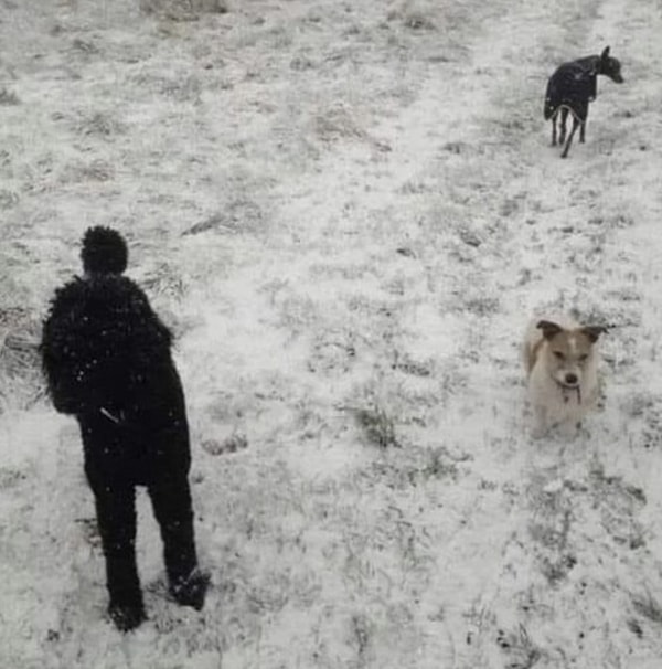 8. Önce bir adam iki köpek gördüğümüz fotoğrafa biraz dikkatli bakınca adamın da köpek olduğunu anlamak hayatı düşündürttü.