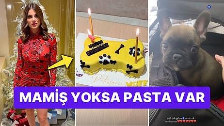 Nazlı Sabancı Çıtayı Arşa Çıkardı: Köpeği Muffin'in Doğum Günü İçin Özel Bir Pasta Yaptırdı