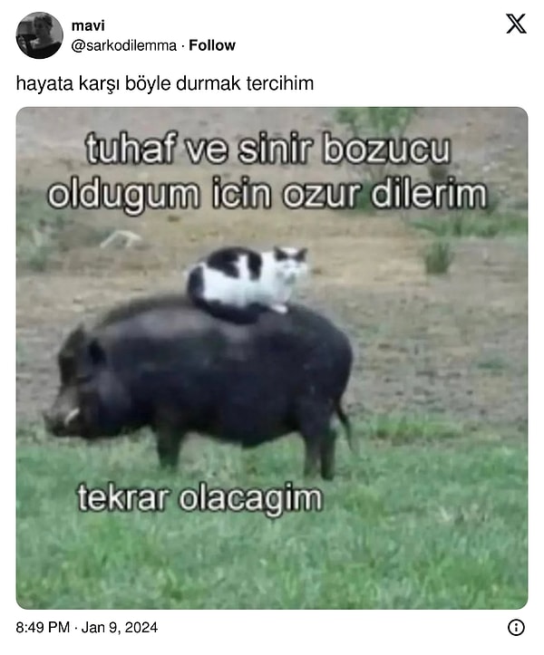 3. Aynaya karşı: