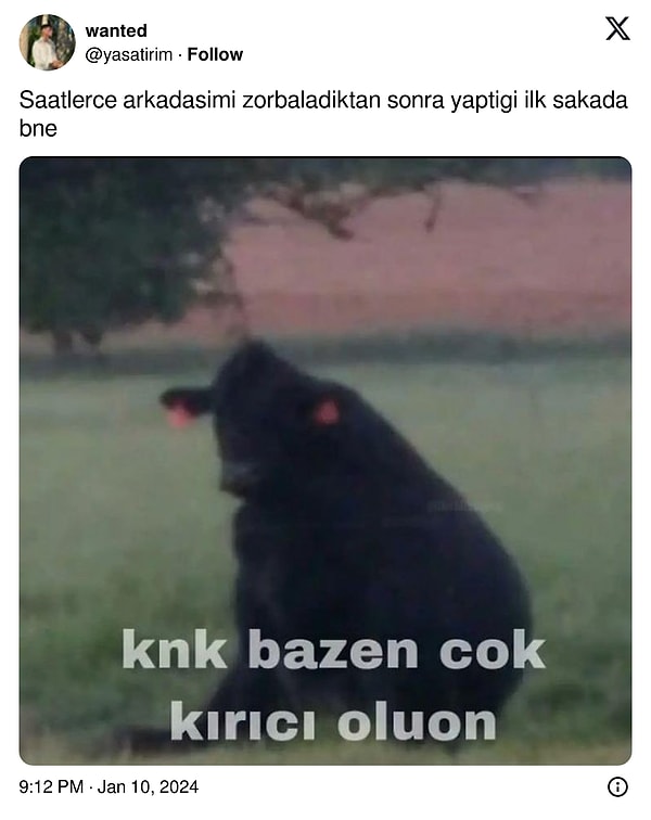 Alınganız sanki?